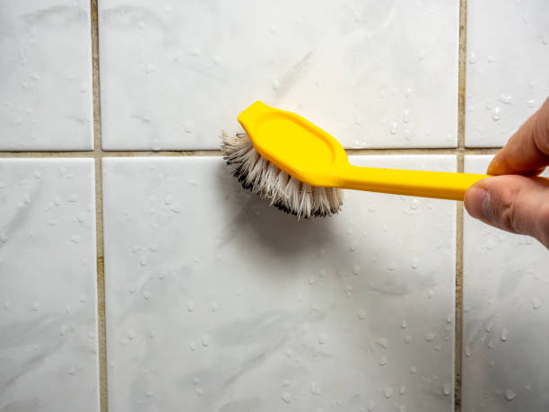Reliable Estelle, LA Mold Remediation Solutions