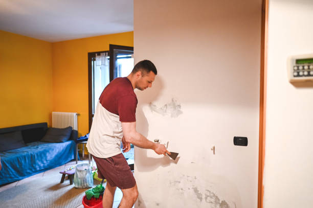 Best Preventive Mold Services in Estelle, LA